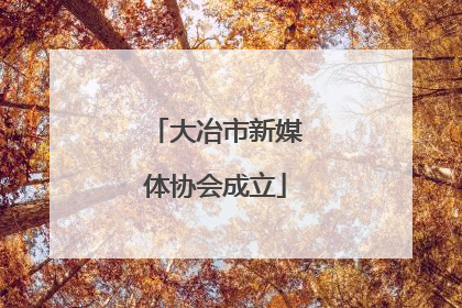 大冶市新媒体协会成立